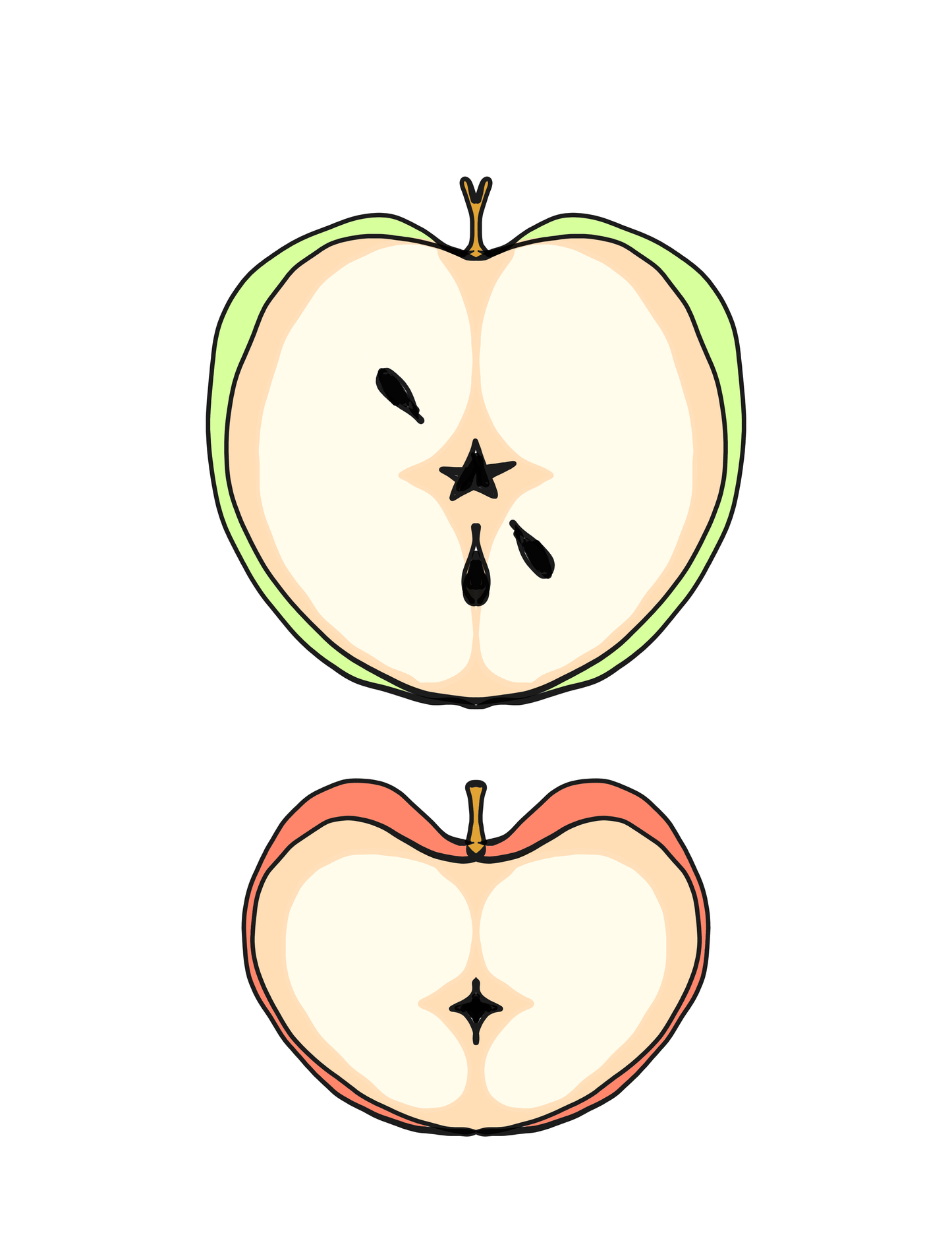 Tattoo ticket/ flash download apple fruit