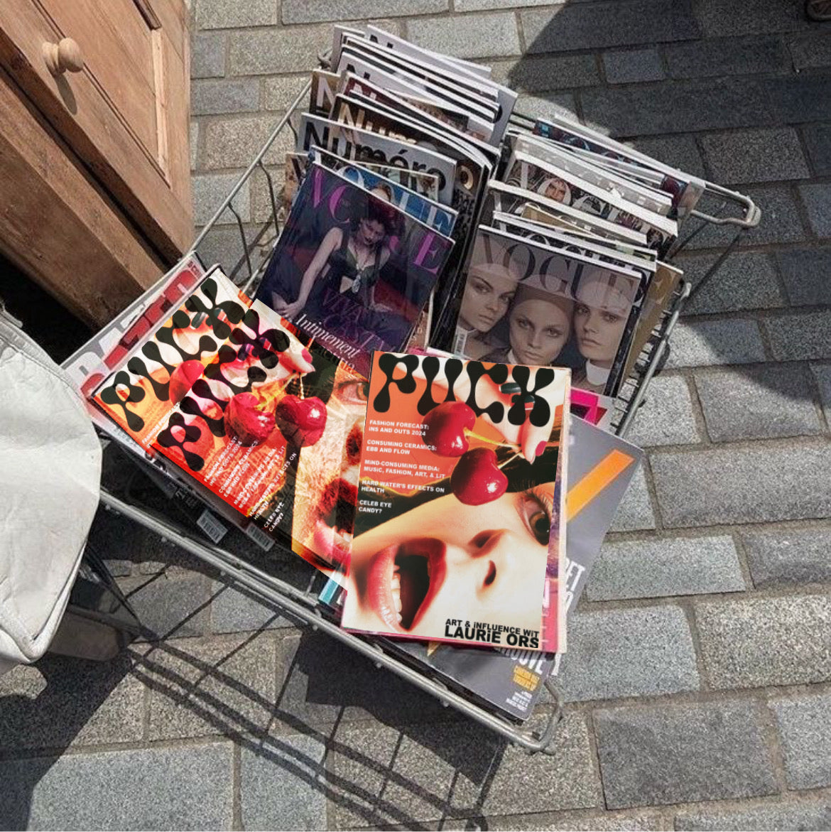 CONTRIBUTOR PUCK Magazine Spring / Summer Issue 03